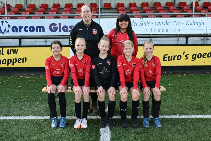 vv Hardegarijp JO10-3