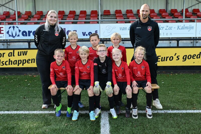 vv Hardegarijp JO8-1